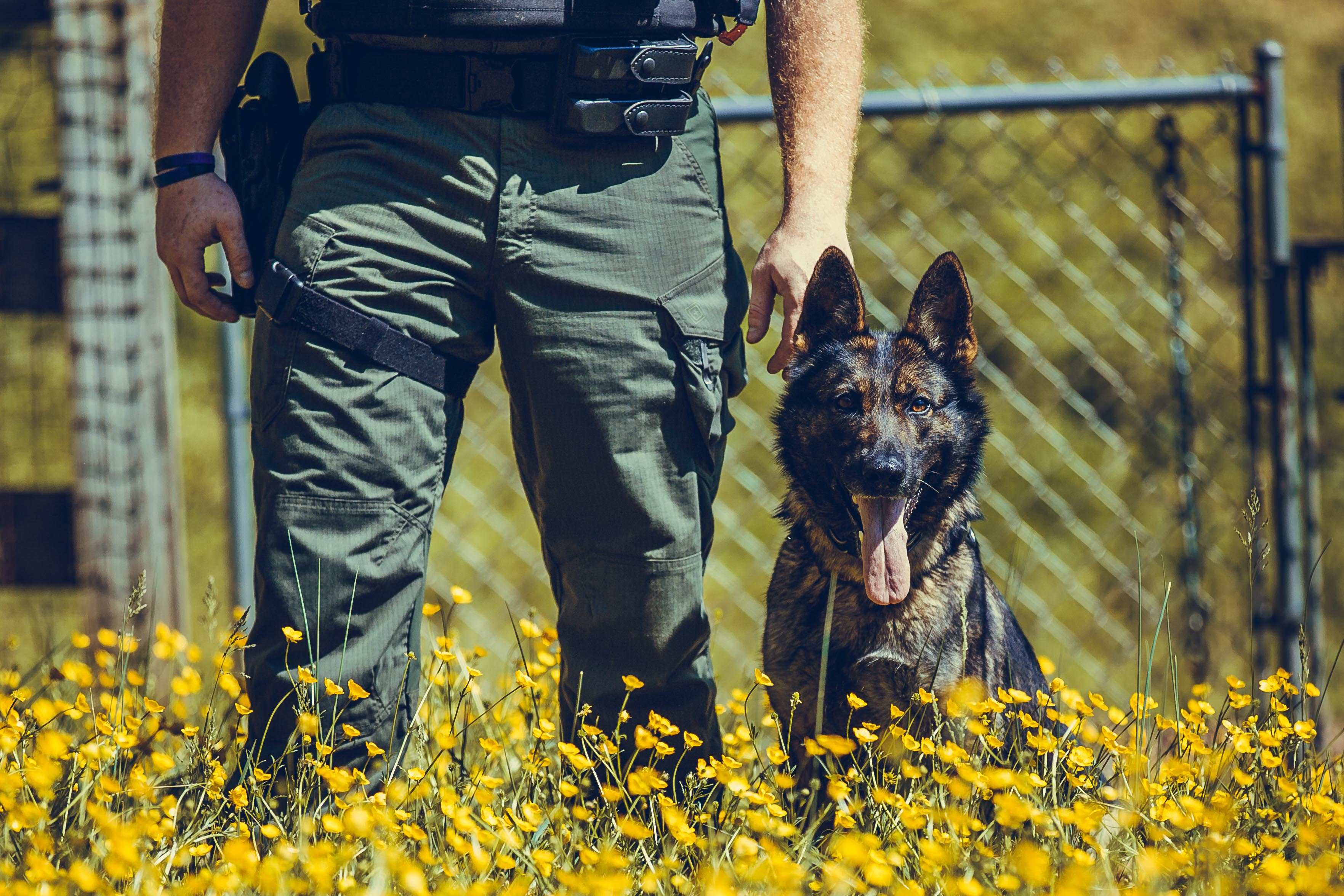 K9 Suzie